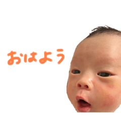 risa_2513120405130625