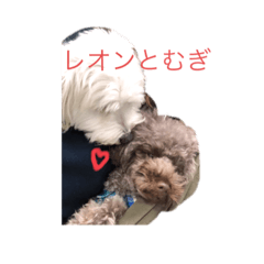 chie_20200528190051