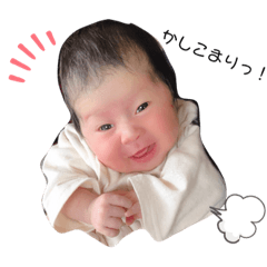 pipitapinanostanp 7742277okomi