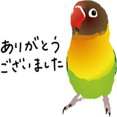 Parrots With Japanese Slangs Line Stickers Line Store