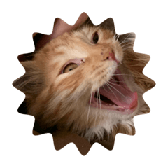 YAMADA_20200529011939