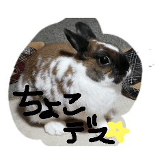 tomomi_20200529002647