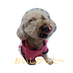 yuina_20200529022422