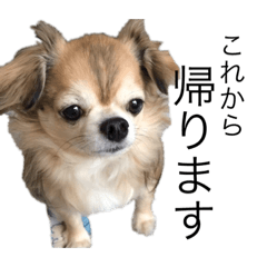 cocoa_20200529111014