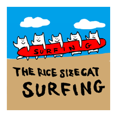 THE RICE SIZE CAT SURFING