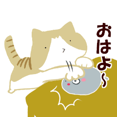 かわいい猫の日常会話集 Line スタンプ Line Store