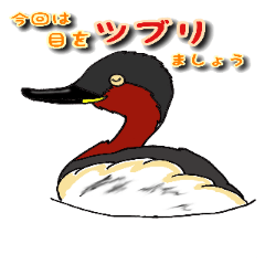 Wild bird in JAPAN