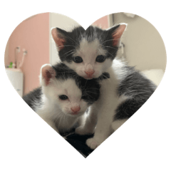 YAMADA_20200529005912