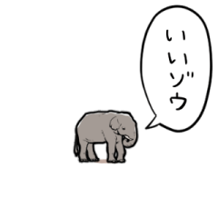 elephant that value social distance