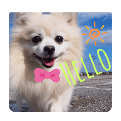 chiro_20200528223753