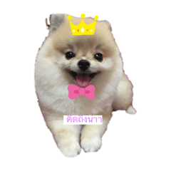 Kitty_20200522033616