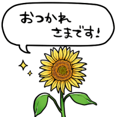sunflower speaks in honorific