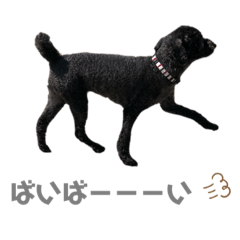 Mizuki_20200529021844