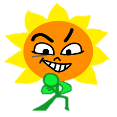sun flower feel