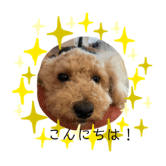 junko_20200529155757