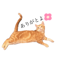 Sayuri_20200529153351