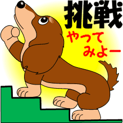 かわいいミニチュアダックス 熟語編 Line スタンプ Line Store かわいいミニチュアダックス 熟語編 Line スタンプ Line Store