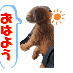 Yuto_20200529172633