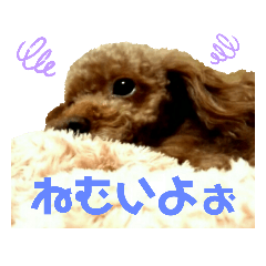 kurumi_20200529172640