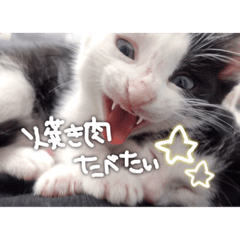 YAMADA_20200529180241