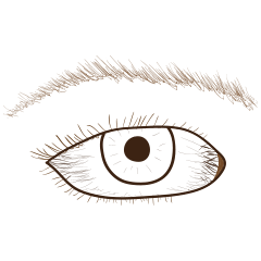 Eye-brown (JP)