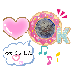 chisa_20200529205027