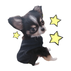 sumire_20200529212009