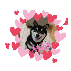 Kurumi_20200529215509