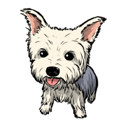 Dodo Yorkie - Japanese version
