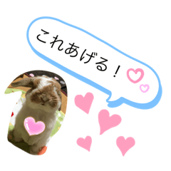 nanami_20200529220707