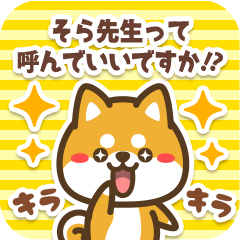 Sticker to Sora from Petit Shiba