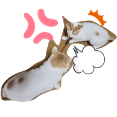 ima_20200530000500