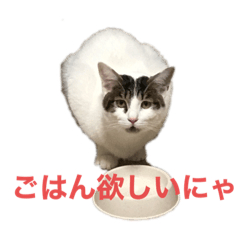 omochi_20200529213443