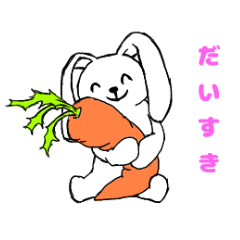 everyday rabbit lop