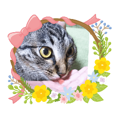 arisa_20200530125952