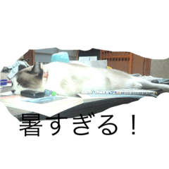 tomomi_20200530135042