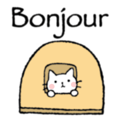 Nice and cute kitty (French)