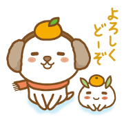 fluffy earmuffs dog