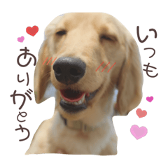 maichi_20200530143841