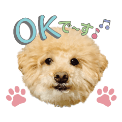 トイプードル Lineクリエイターズスタンプまとめ Stamplist Part 3 トイプードル Lineクリエイターズスタンプまとめ Stamplist Part 3