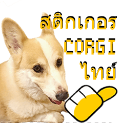 Corgi the Lowrider Stickers Thai