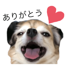 cocoa_20200530153137_2