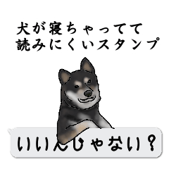 犬が寝ちゃってて読みにくいスタンプ