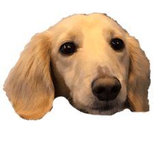 Rina_20200530161529