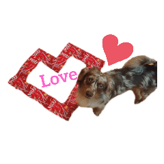 kitty_20200530120715