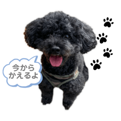 rei_20200530000601