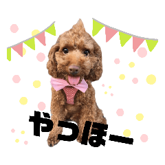 tomomi_20200530164314