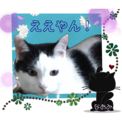 nanana_20200530144850