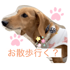 cocoa_20200530144723