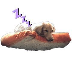 asuka_20200530102844